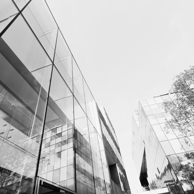 droit des sociétés